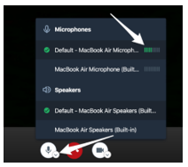Microphone settings.png
